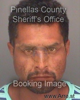 Jose Luis Reynaflores Mugshot