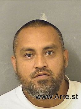 Jose  Saucedo Mugshot