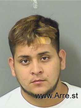 Jose  Sorianomartinez Mugshot