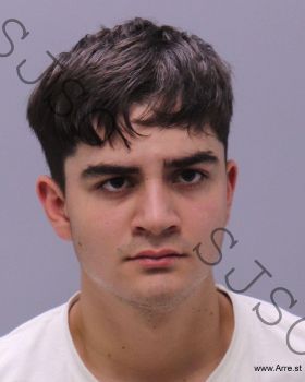 Jacob Wave Nicholson Mugshot