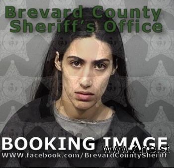 Jacqueline K Scotti Mugshot