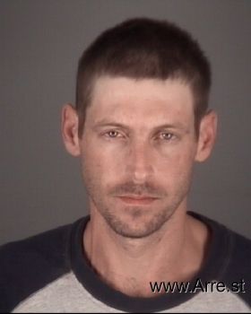 James Simone Stevens Mugshot