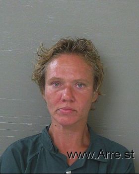 Jamie Anne Cook Mugshot