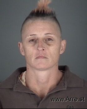 Jamie Suzanne Ellis Mugshot