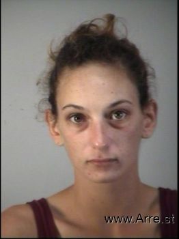 Jamie Lynn Lee Mugshot