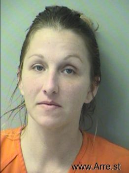 Jamie Ann Pollack Willett Mugshot