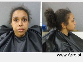 Janay Ellen Hunter Mugshot