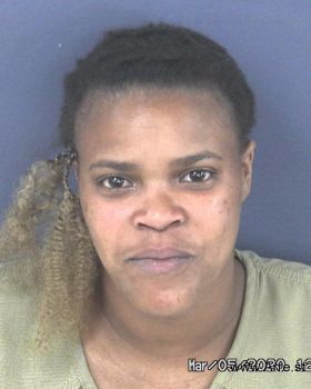 Janet Yvonne Davis Mugshot