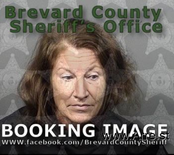 Janice Ann Davis Mugshot