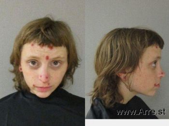 Janis Lynn Smith Mugshot