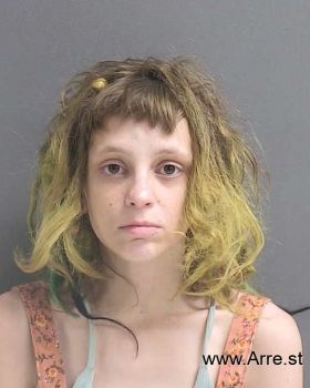 Janis L Smith Mugshot