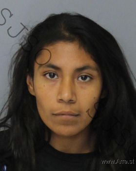 Jennifer Varela Hernandez Mugshot