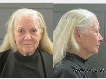 Jennifer Lee Jenkins Mugshot