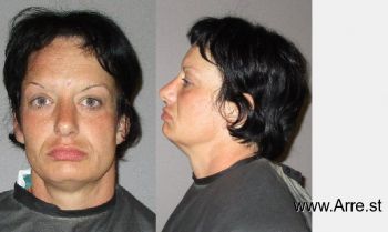 Jennifer Lynn Lamb Mugshot