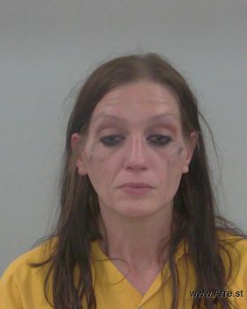 Jennifer Lynn Lowes Mugshot