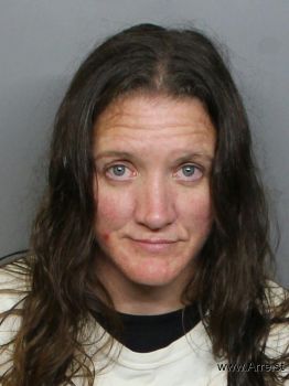 Jennifer Lyn Olson Mugshot