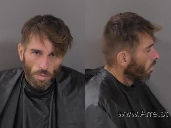 Jesse Ian Virgin Mugshot