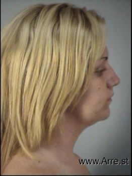 Jessica Nicole Anderson Mugshot