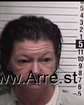 Jessica Paige Davis Mugshot