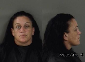 Jessica Lyn Dollins Mugshot