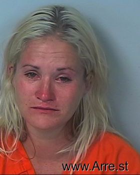 Jessica Ann Lewis Mugshot