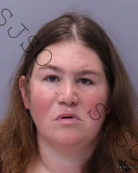 Jessica Lynn Rossini Mugshot