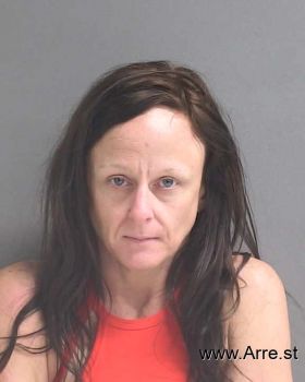 Jessica L Snyder Mugshot