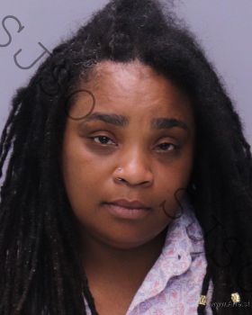 Jessica Renee Winston Mugshot