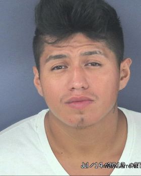 Jesus  Angeles-martinez Mugshot