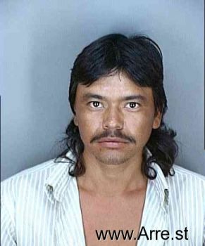 Jesus Hernandez Castillo Mugshot