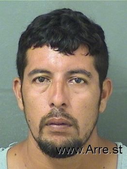 Jesus  Flores Mugshot