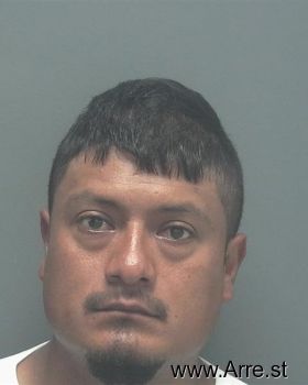 Jesus Alberto Flores-muro Mugshot