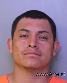 Jesus  Guerrero-avila Mugshot