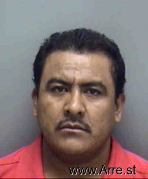 Jesus  Guerrero-martinez Mugshot