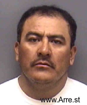 Jesus  Guerrero-martinez Mugshot