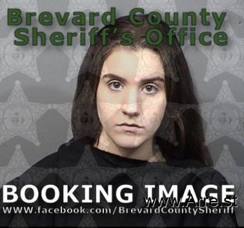 Jocelyn Ann Johnson Mugshot