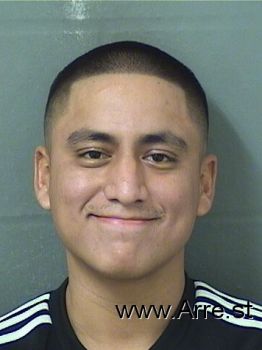 Joel  Flores Mugshot