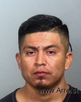 Joel  Perez-gonzalez Mugshot