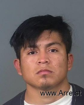 Joel  Perez-gonzalez Mugshot