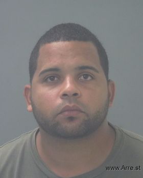 Joel Nmn Perezrojas Mugshot