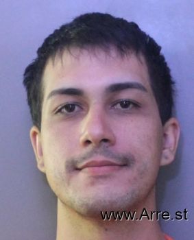 Joel Antonio Sanchez-gonzalez Mugshot