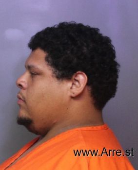 John  Santos Jr Mugshot