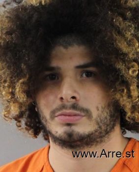 John Jessiel Torres-irizarry Mugshot