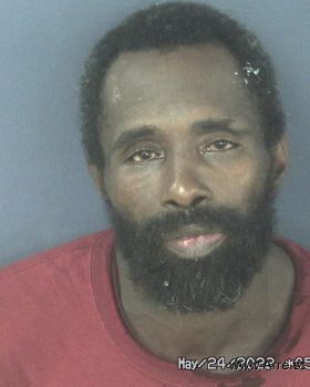 Johnny Lee Green Mugshot