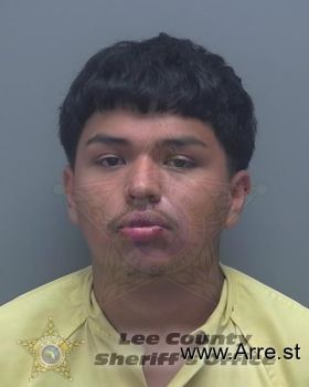 Jonathan  Castillo Mugshot