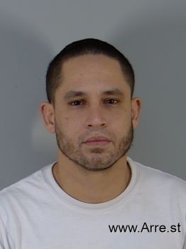 Jonathan  Torres Negron Mugshot