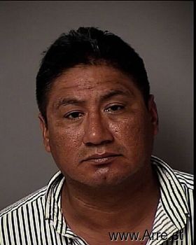 Jorge  Sanchez-silva Mugshot