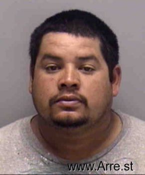 Jose Isabel Amaya-borrego Mugshot