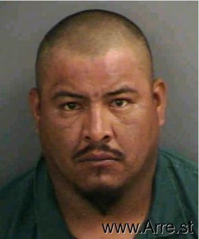 Jose  Angeles Mugshot