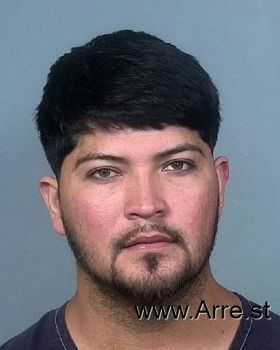 Jose D Arevalo Castellon Mugshot